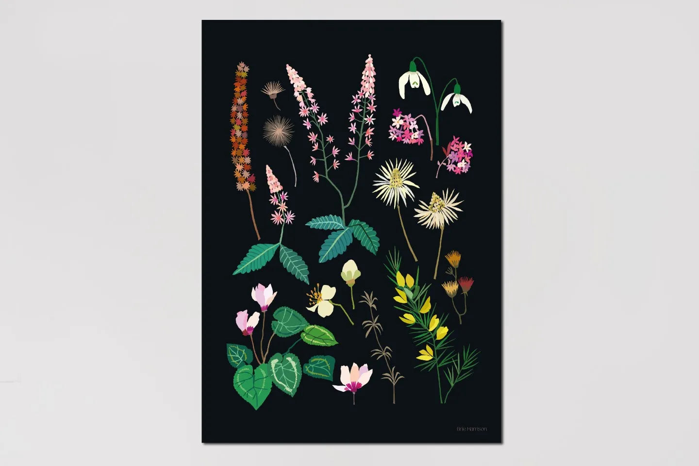 Late Winter Print A4