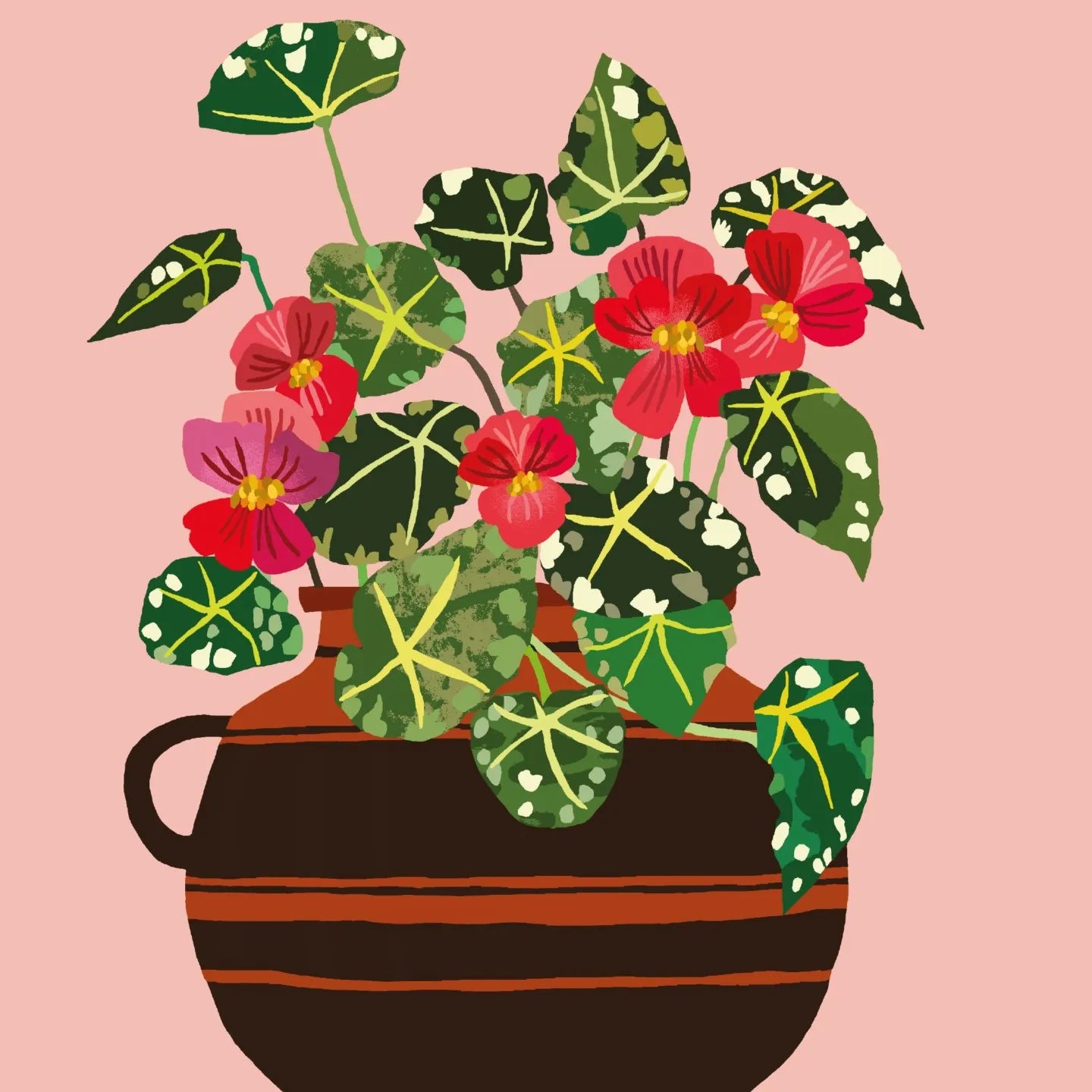 Begonia Print