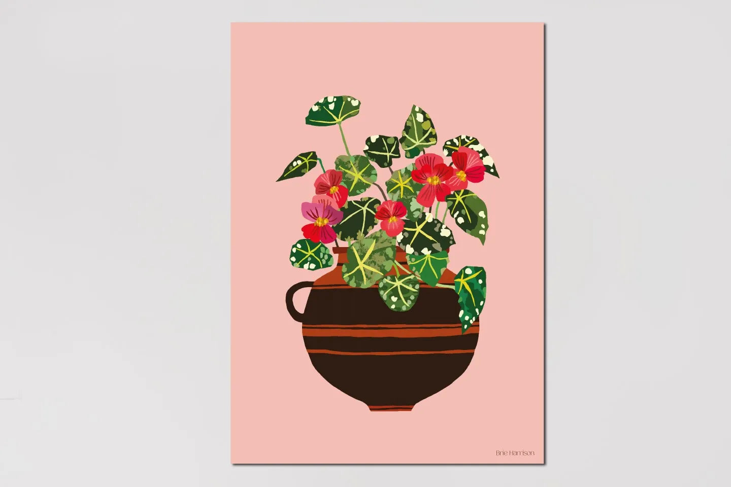 Begonia Print